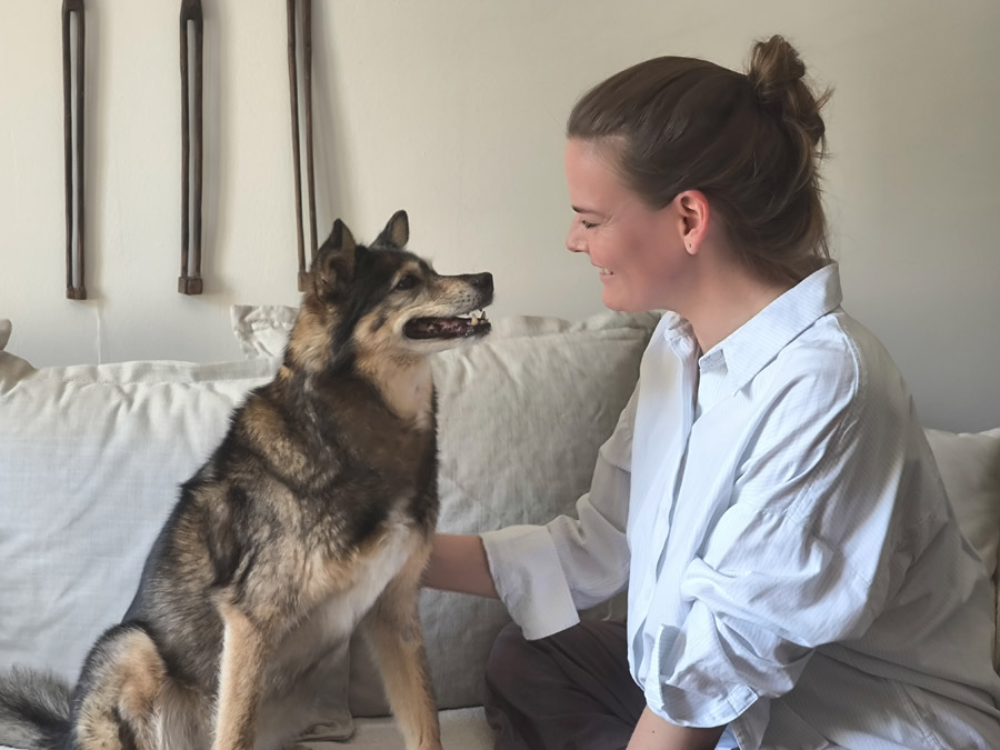 Hund und Mensch sehen sich zufrieden an.
